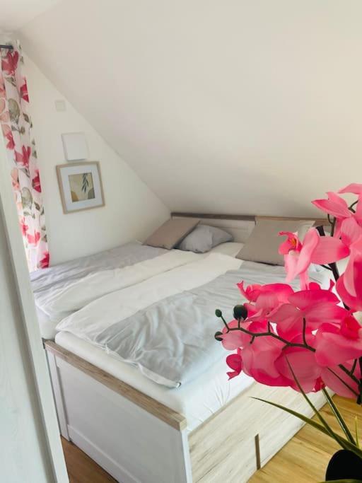Apartment Scholle Steinbeck 레케 외부 사진